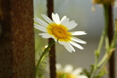 Enlarge photo 356