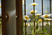 Enlarge photo 360