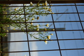 Enlarge photo 371