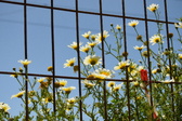 Enlarge photo 372