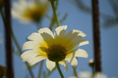 Enlarge photo 373