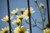 Enlarge photo 374