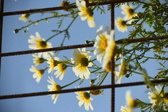 Enlarge photo 392