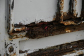 Enlarge photo 395