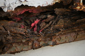 Enlarge photo 396