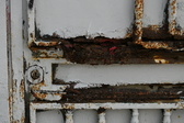Enlarge photo 399