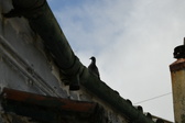 Enlarge photo 404