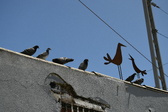 Enlarge photo 415