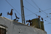 Enlarge photo 416