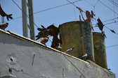 Enlarge photo 421