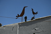Enlarge photo 422