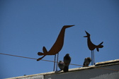 Enlarge photo 424