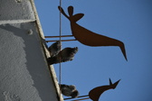 Enlarge photo 432