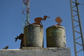 Enlarge photo 433