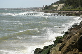 Enlarge photo 30