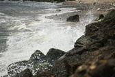 Enlarge photo 40