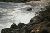 Enlarge photo 41