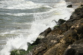 Enlarge photo 42