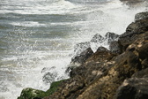 Enlarge photo 44