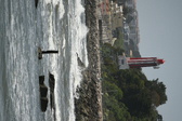 Enlarge photo 61