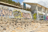 Enlarge photo 84