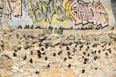 Enlarge photo 86