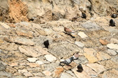 Enlarge photo 87