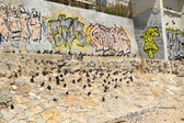 Enlarge photo 90
