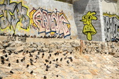 Enlarge photo 91