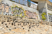 Enlarge photo 95