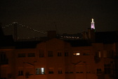 Enlarge photo 65