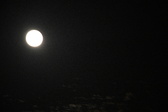 Enlarge photo 84