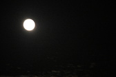 Enlarge photo 85