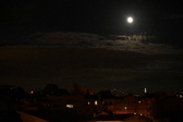 Enlarge photo 90