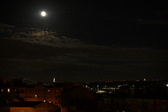 Enlarge photo 101