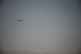 Enlarge photo 135