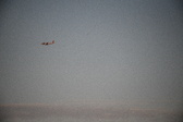 Enlarge photo 137