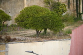 Enlarge photo 150