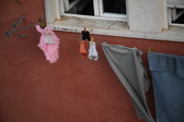 Enlarge photo 153