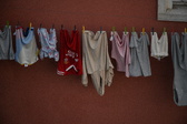 Enlarge photo 154