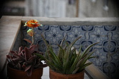 Enlarge photo 159