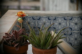 Enlarge photo 161