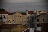 Enlarge photo 163