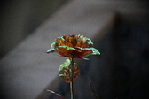 Enlarge photo 169