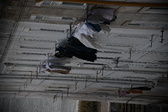 Enlarge photo 172