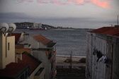 Enlarge photo 179