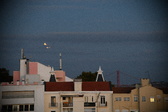 Enlarge photo 195