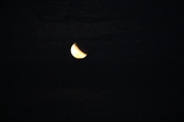 Enlarge photo 203