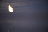 Enlarge photo 205