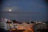 Enlarge photo 215